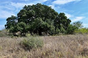 1722 FM 574 - Photo 17