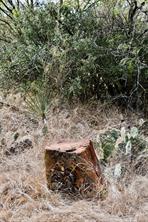 1722 FM 574 - Photo 32