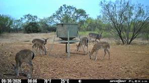 1722 FM 574 - Photo 9