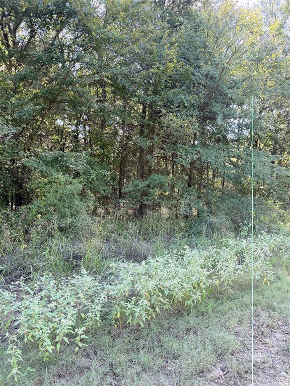 106 Longhorn Road - Photo 1