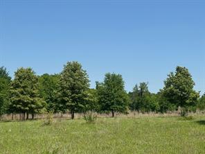 0 S US-79 Highway - Photo 4