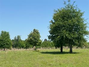 0 S US-79 Highway - Photo 5
