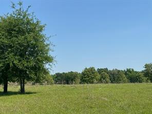 0 S US-79 Highway - Photo 6