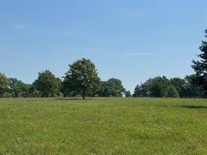 0 S US-79 Highway - Photo 8