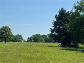 0 S US-79 Highway - Photo 9