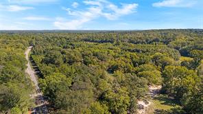 4669 Fm 1254 - Photo 16