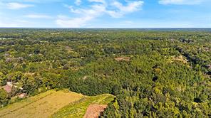 4669 Fm 1254 - Photo 21