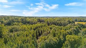 4669 Fm 1254 - Photo 25