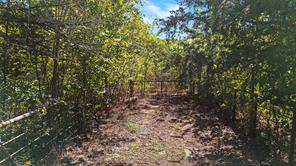 4669 Fm 1254 - Photo 9