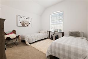 302 Dove Falls Drive - Photo 23