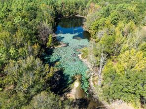 2937 County Road 2356 - Photo 11