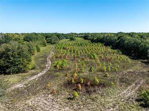2937 County Road 2356 - Photo 15