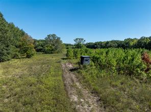 2937 County Road 2356 - Photo 18