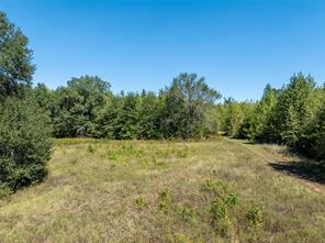 2937 County Road 2356 - Photo 20