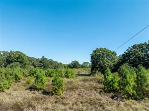 2937 County Road 2356 - Photo 22