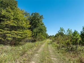 2937 County Road 2356 - Photo 23