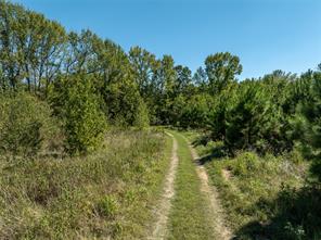 2937 County Road 2356 - Photo 24