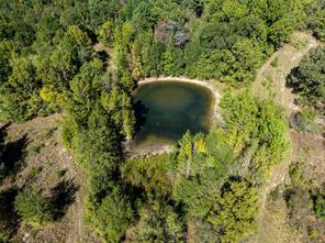 2937 County Road 2356 - Photo 3