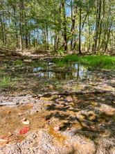 2937 County Road 2356 - Photo 30