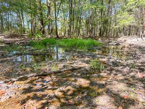 2937 County Road 2356 - Photo 31