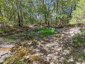 2937 County Road 2356 - Photo 32