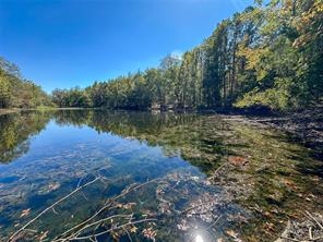 2937 County Road 2356 - Photo 34