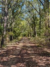 2937 County Road 2356 - Photo 38