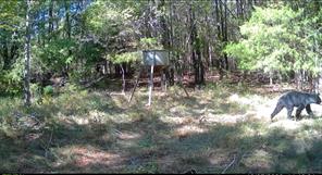2937 County Road 2356 - Photo 5