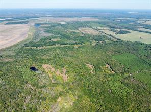 2937 County Road 2356 - Photo 9