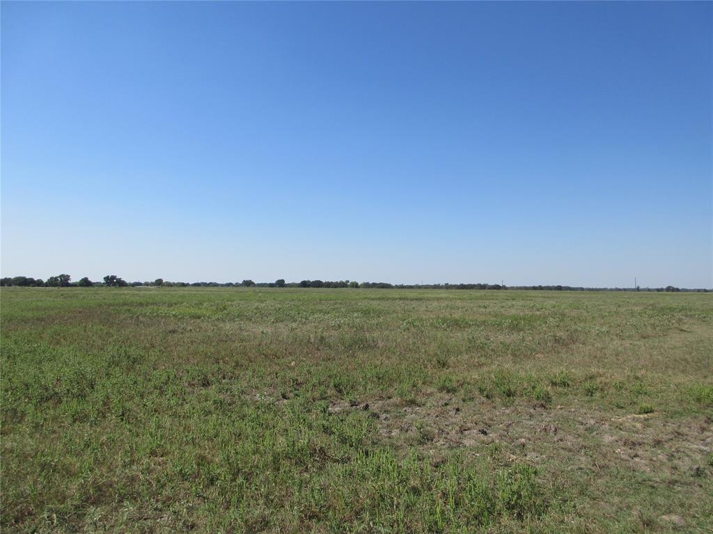 216 CR 181 Highway - Photo 19