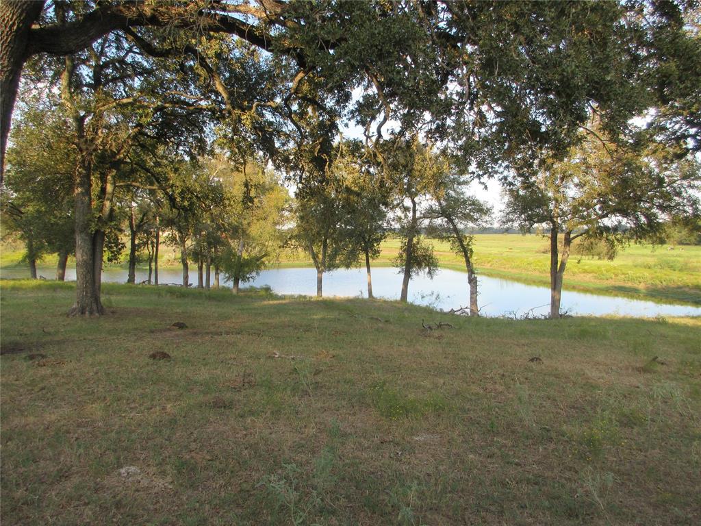 216 CR 181 Highway - Photo 9