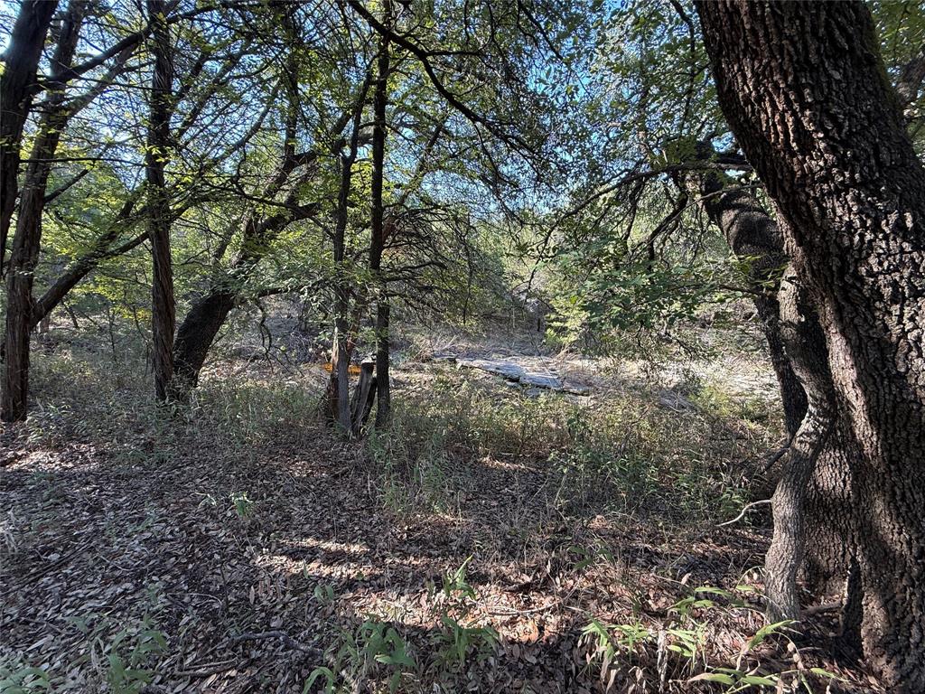4900 Contrary Creek Road - Photo 11