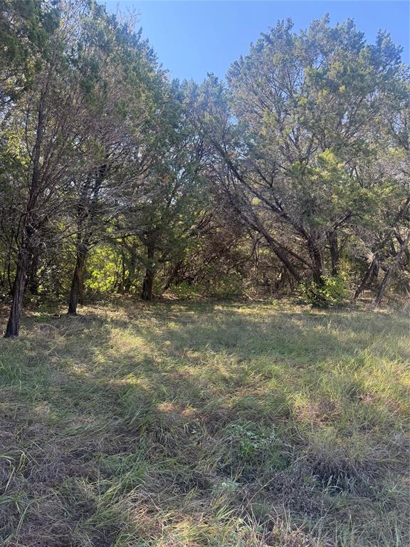 4900 Contrary Creek Road - Photo 7