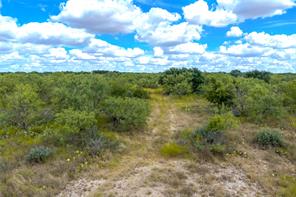 2240 Buck Ridge Road - Photo 4