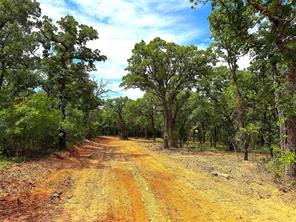 TBD C Turpin Lake Road - Photo 19