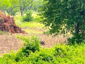 TBD C Turpin Lake Road - Photo 22
