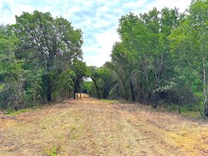 TBD C Turpin Lake Road - Photo 4