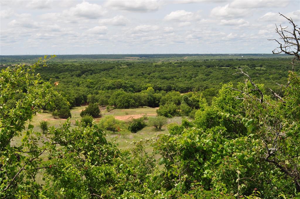 TBD B Two Bush Road - Photo 16