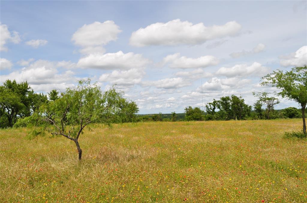 TBD B Two Bush Road - Photo 20