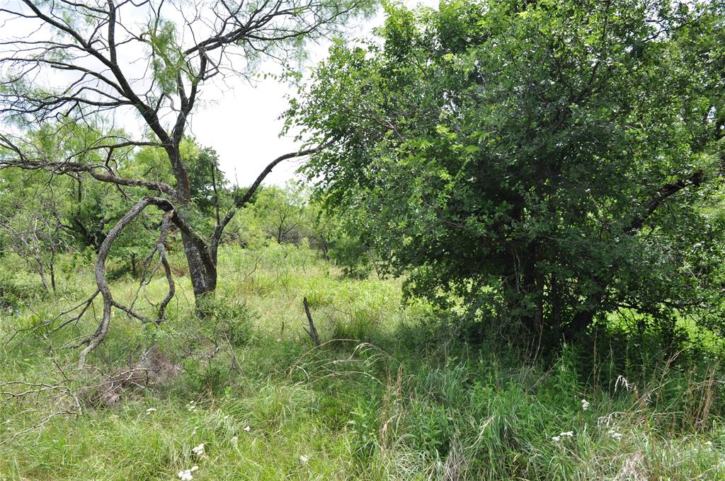 TBD B Two Bush Road - Photo 25