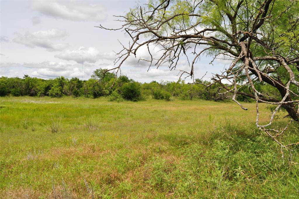TBD B Two Bush Road - Photo 29