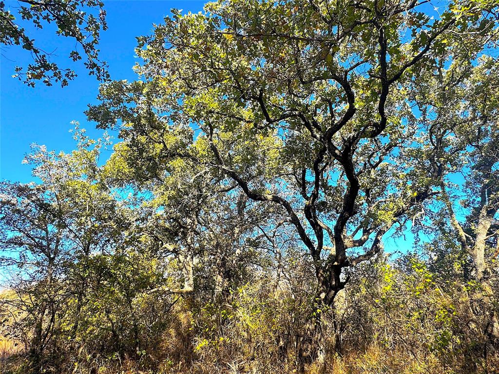 TBD C Two Bush Road - Photo 19
