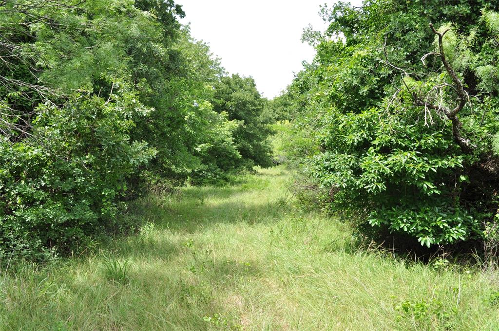 TBD C Two Bush Road - Photo 20