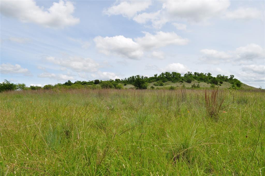 TBD C Two Bush Road - Photo 23