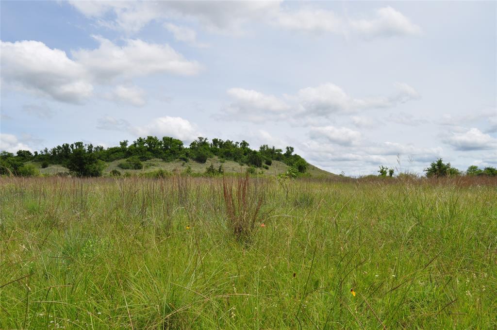 TBD C Two Bush Road - Photo 28