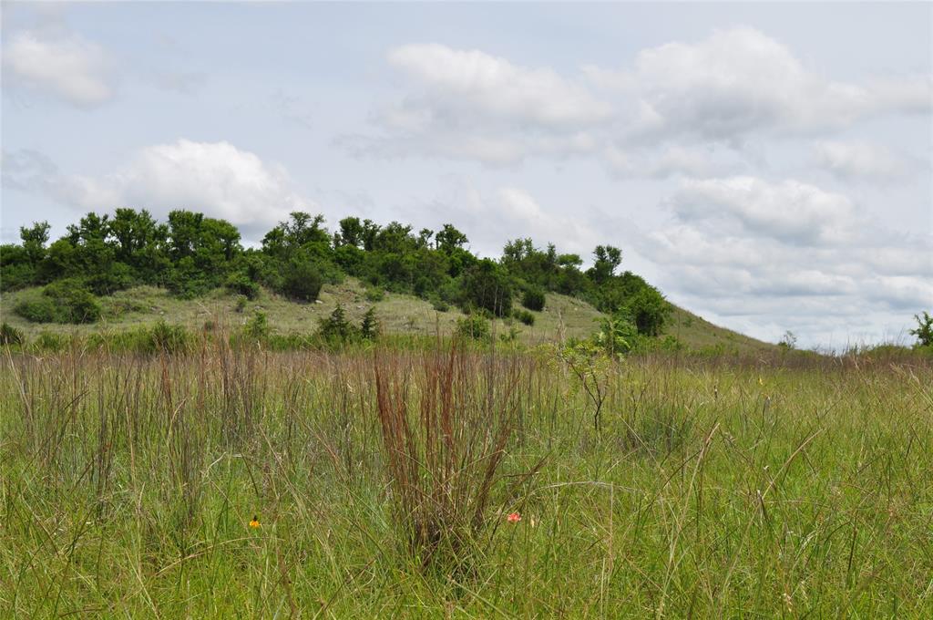 TBD C Two Bush Road - Photo 29