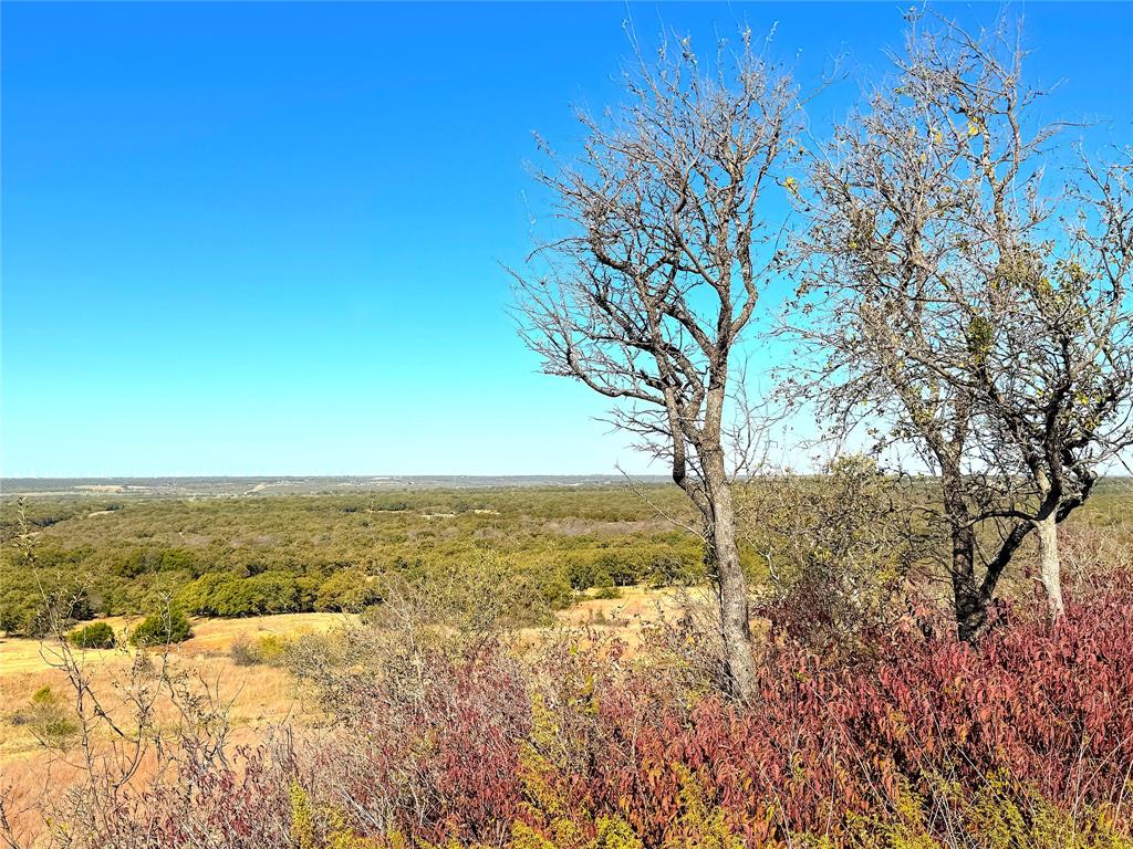 TBD C Two Bush Road - Photo 7