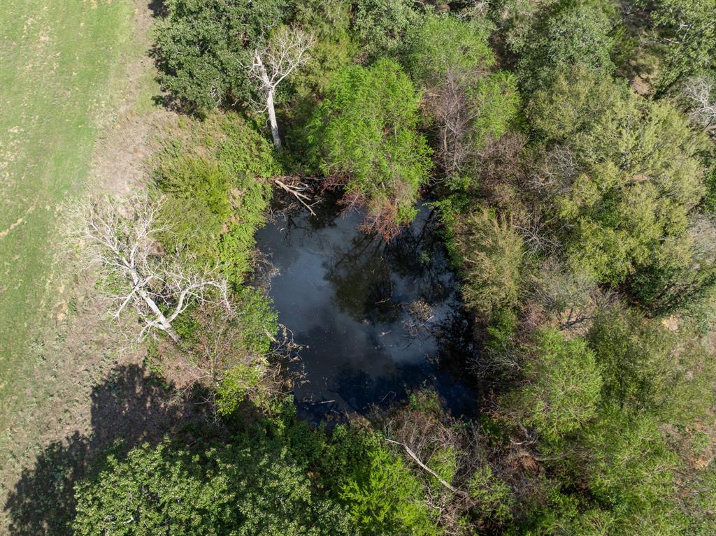 4425 County Road 424 - Photo 31