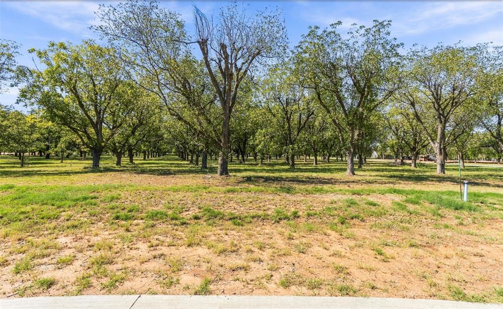 2513 Buckskin Drive - Photo 1