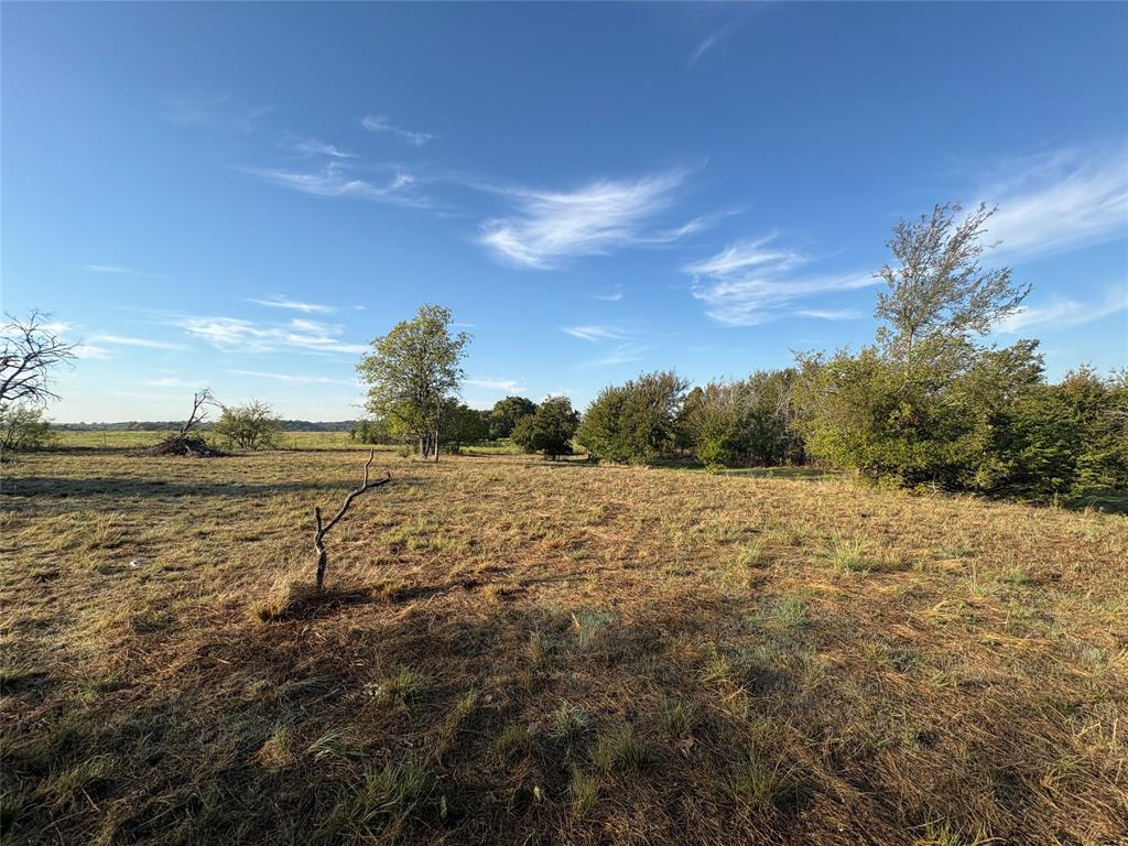 7933 Lax Drive - Photo 1